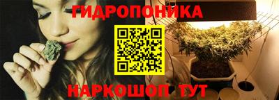 трава Кингисепп