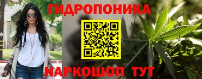 трава Кингисепп